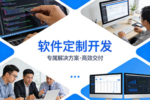 软件定制开发